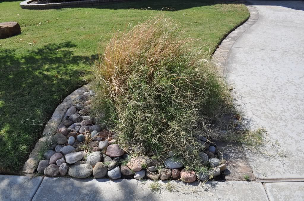 how to kill grass in flower beds
