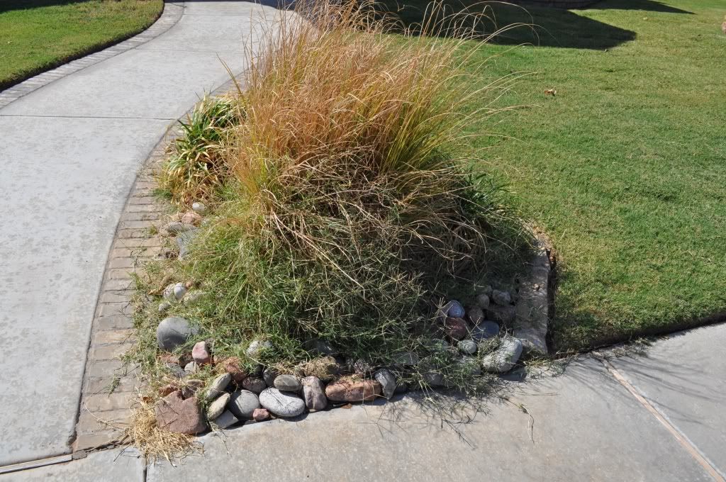 Killing and Keeping Grass out of Flower Beds TexAgs