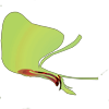 a03.png image by aesc36