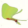 c01.png image by aesc36