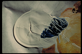 IMG0003.png image by aesc36