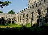 DSC00614.png image by aesc36