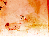 t07_ltex.png image by aesc36
