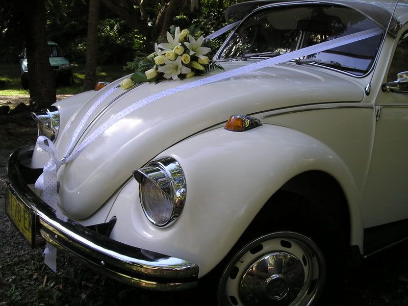 http://i99.photobucket.com/albums/l308/ByronBug/Canberraveranda030.jpg http://i99.photobucket.com/albums/l308/ByronBug/Canberraveranda030.jpg