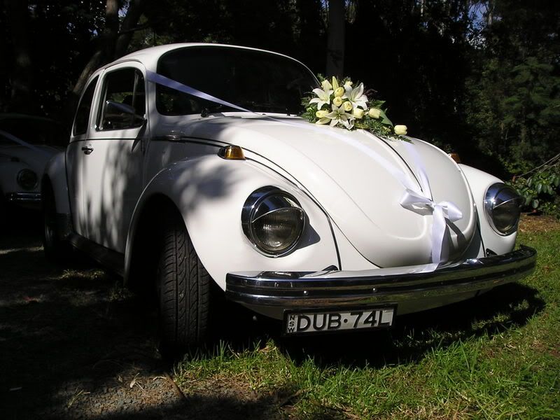 http://i99.photobucket.com/albums/l308/ByronBug/Canberraveranda032.jpg http://i99.photobucket.com/albums/l308/ByronBug/Canberraveranda032.jpg