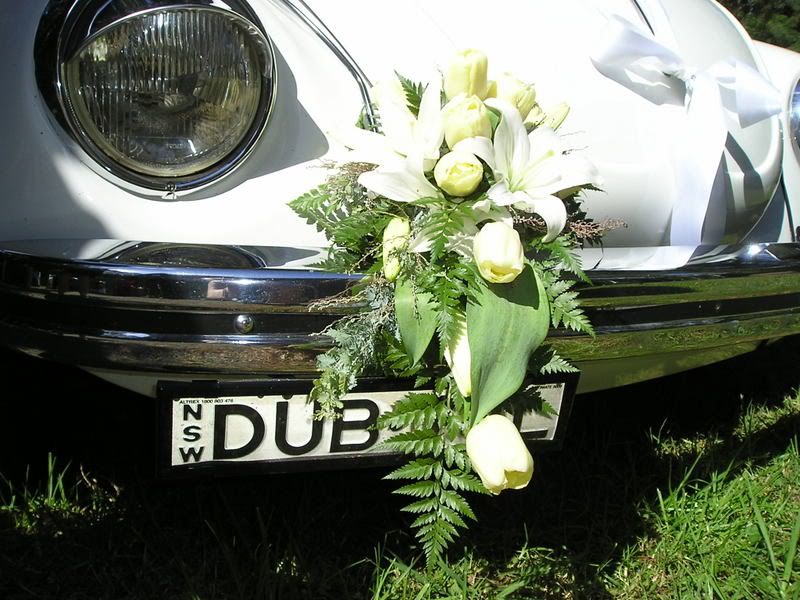 http://i99.photobucket.com/albums/l308/ByronBug/Canberraveranda034.jpg http://i99.photobucket.com/albums/l308/ByronBug/Canberraveranda034.jpg
