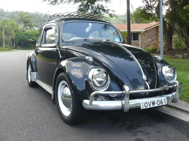 http://i99.photobucket.com/albums/l308/ByronBug/PopEvaBlackBug015.jpg