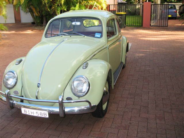 http://i99.photobucket.com/albums/l308/ByronBug/TonyPbug2.jpg