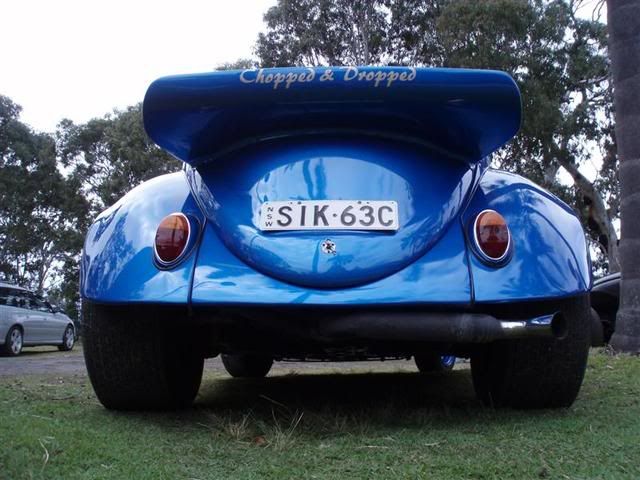 http://i99.photobucket.com/albums/l308/ByronBug/sikbug.jpg