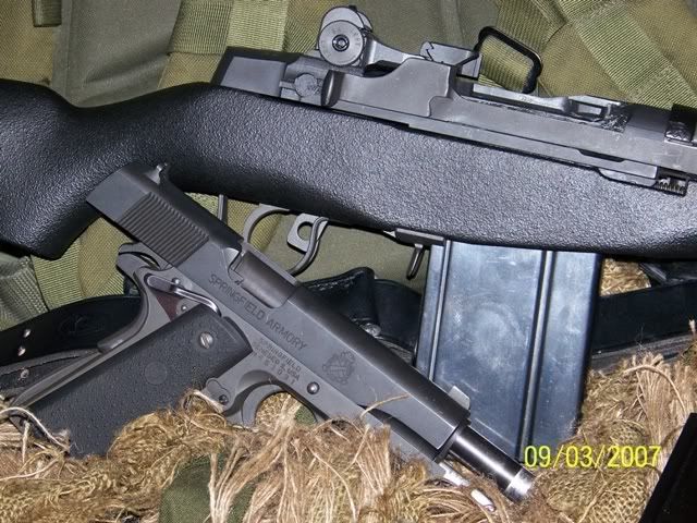 M1AandMilSpec.jpg