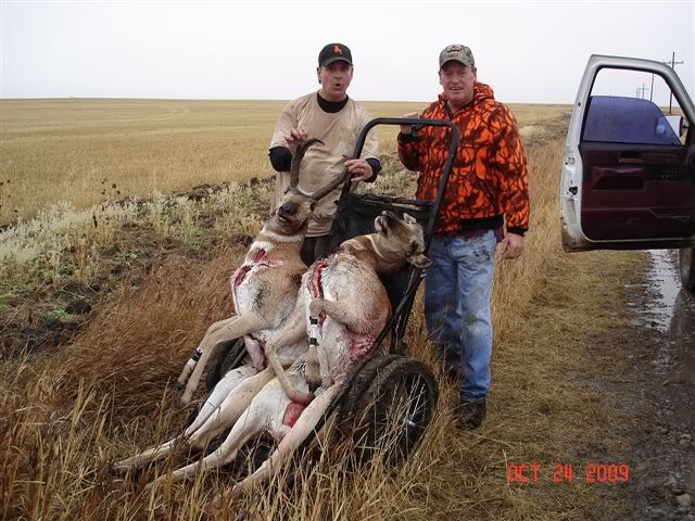 Antelope1024-09003.jpg