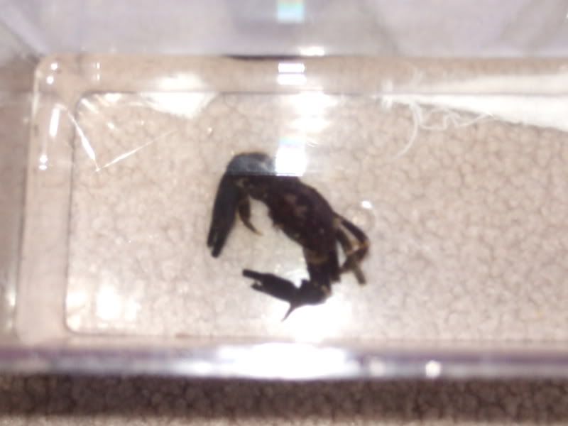 DSCF2096.jpg