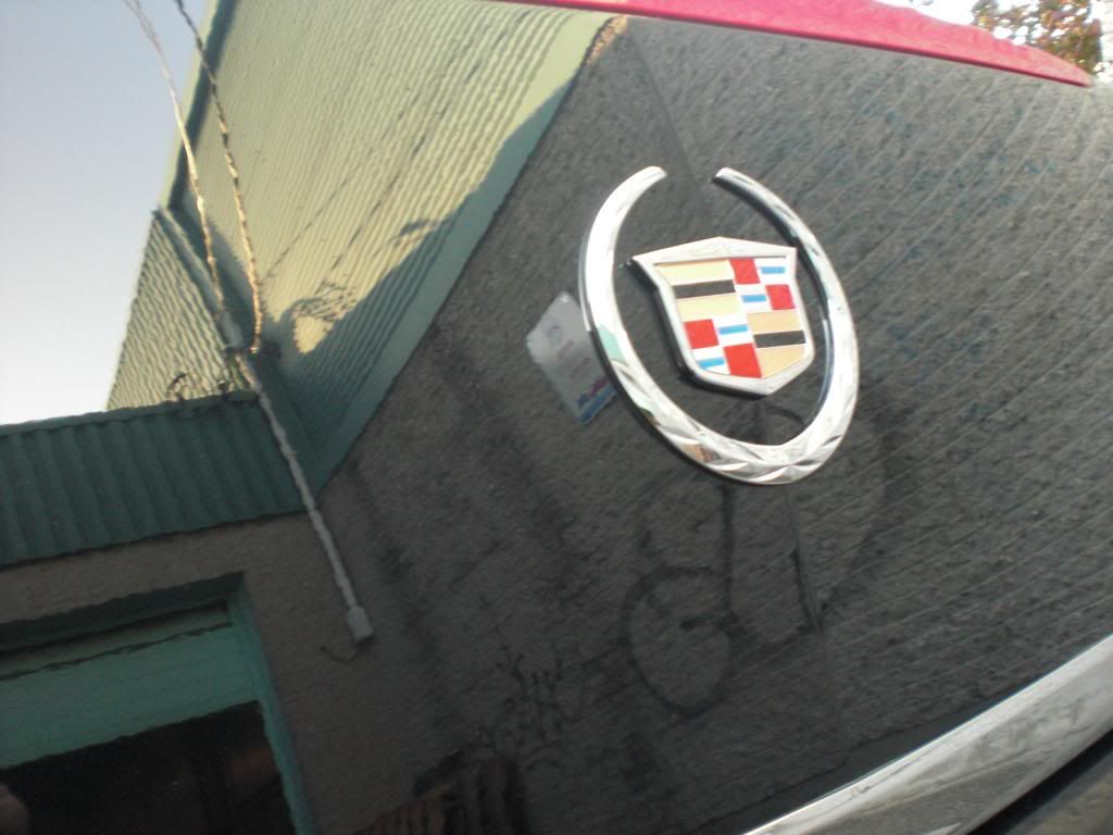 CIMG1688.jpg