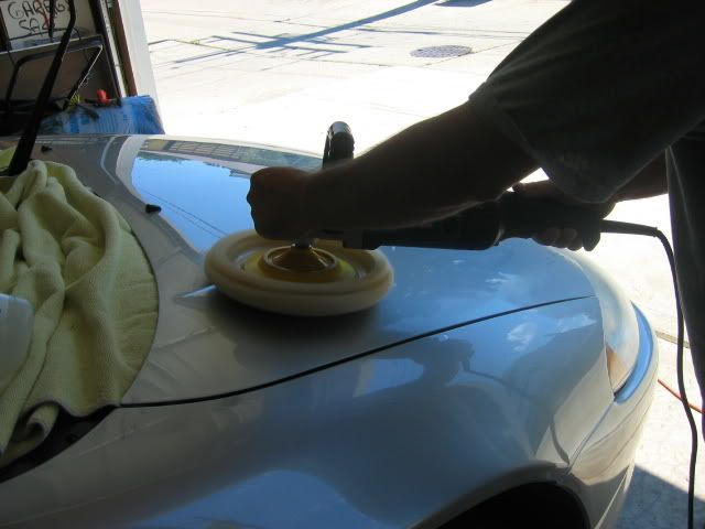 IMG_4413.jpg