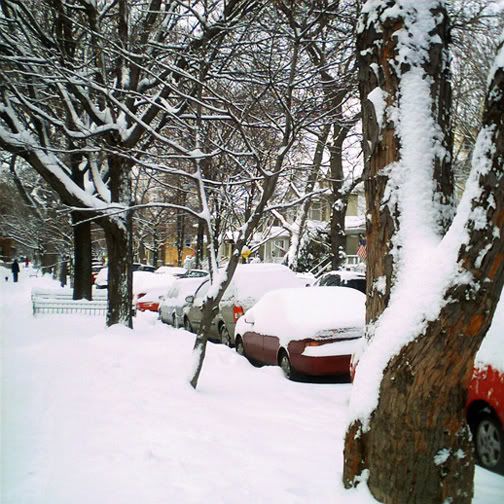 Snow1010605.jpg