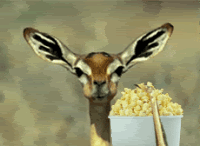 Gazelle Popcorn
