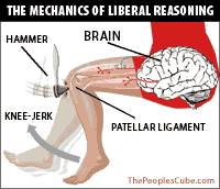Knee_Jerk_Liberal_Reasoning.gif