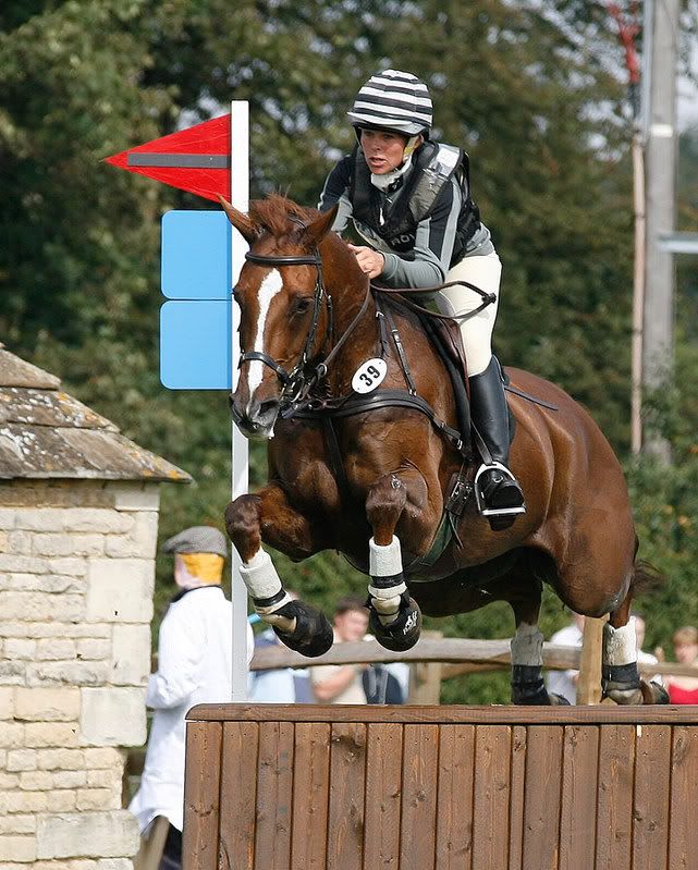 IMAGE: http://i99.photobucket.com/albums/l319/steve70/horses/_H5K0604.jpg