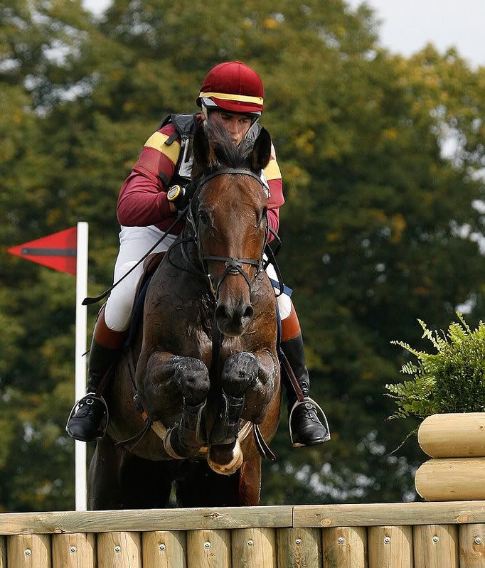 IMAGE: http://i99.photobucket.com/albums/l319/steve70/horses/_H5K0685.jpg