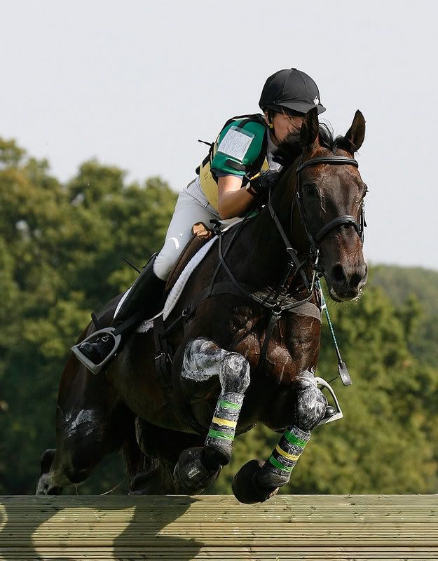 IMAGE: http://i99.photobucket.com/albums/l319/steve70/horses/_H5K0720.jpg