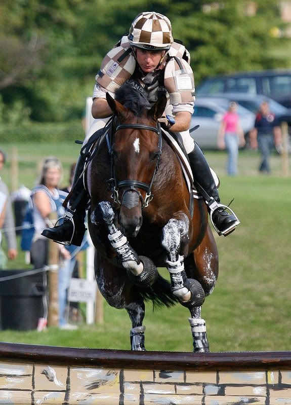 IMAGE: http://i99.photobucket.com/albums/l319/steve70/horses/_H5K0819.jpg