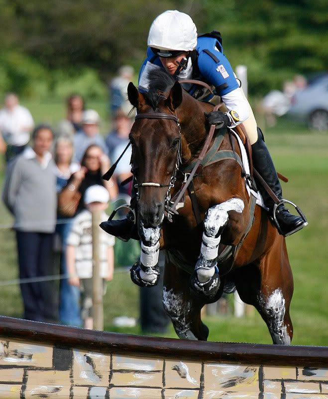 IMAGE: http://i99.photobucket.com/albums/l319/steve70/horses/_H5K0828.jpg