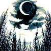 photo halloween-9-9-forests.png