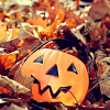 photo halloween-b5nn91-padf00t.png
