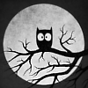 photo sept-037-northstarlights.png