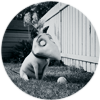photo HALLOWEEN-4-LON_GINA.png