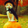 photo hallloween-ten18fh2o015-shalowater.png