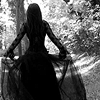 photo halloween-039-seasaltsiren.png