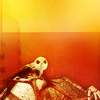 photo halloween-190228-raiindust.png