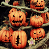 photo halloween-2285882-lavanille.png