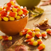 photo halloween-30-sunlitdays.png