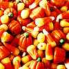 photo halloween-6fh-bloomyicons.png