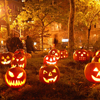 photo halloween-701261-canadaphile.png