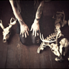 photo halloween-705915-canadaphile.png