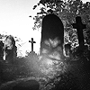 photo halloween-H6-justlook3.png