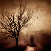 photo halloween-bjy-bloomyicons.png