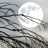 photo halloween-fullmoon-arrow.png