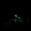 photo halloween-nightg05-bloomyicons.gif