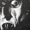 photo halloween-nos03-bloomyicons.png