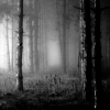 photo halloween-scaryh2o020-shalowater.png