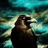 photo halloween-stock11-bloomyicons.png