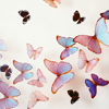 photo SEPT-STOCK538-LON_GINA.png