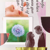 photo sept-673179-alisea_dream.png