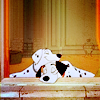 photo 157-secret_vision.png