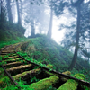 photo AUGUST-045-SEASALTRAIN.png