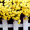 photo AUGUST-13-PARIS.png